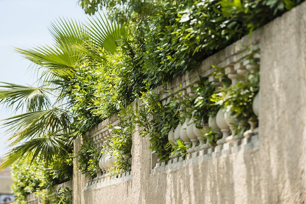 Les Jardins De La Mer Grimaud Exterior foto